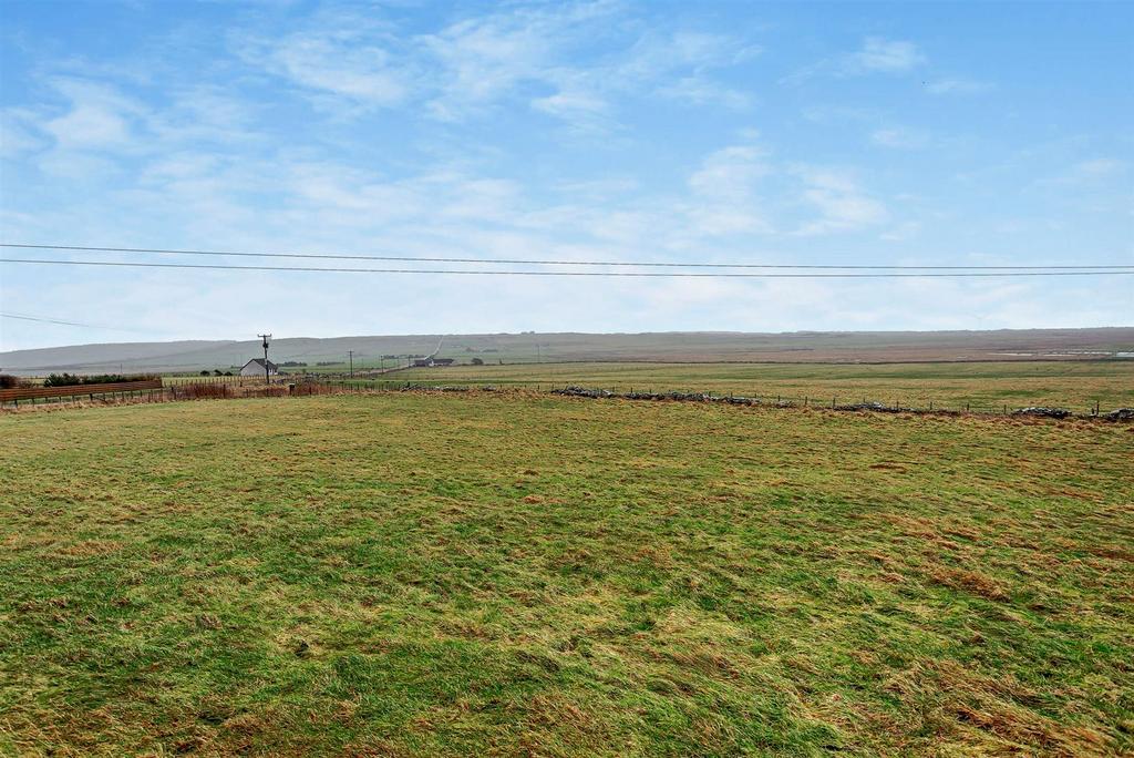 View from house