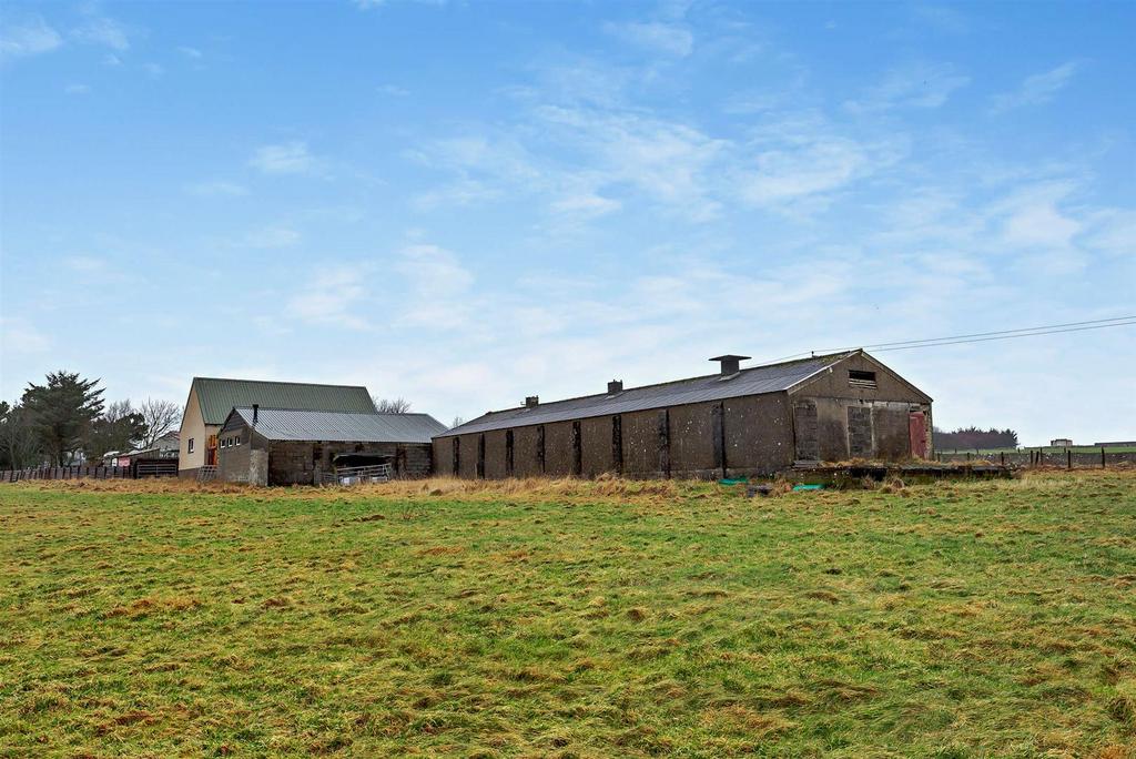 Sheds