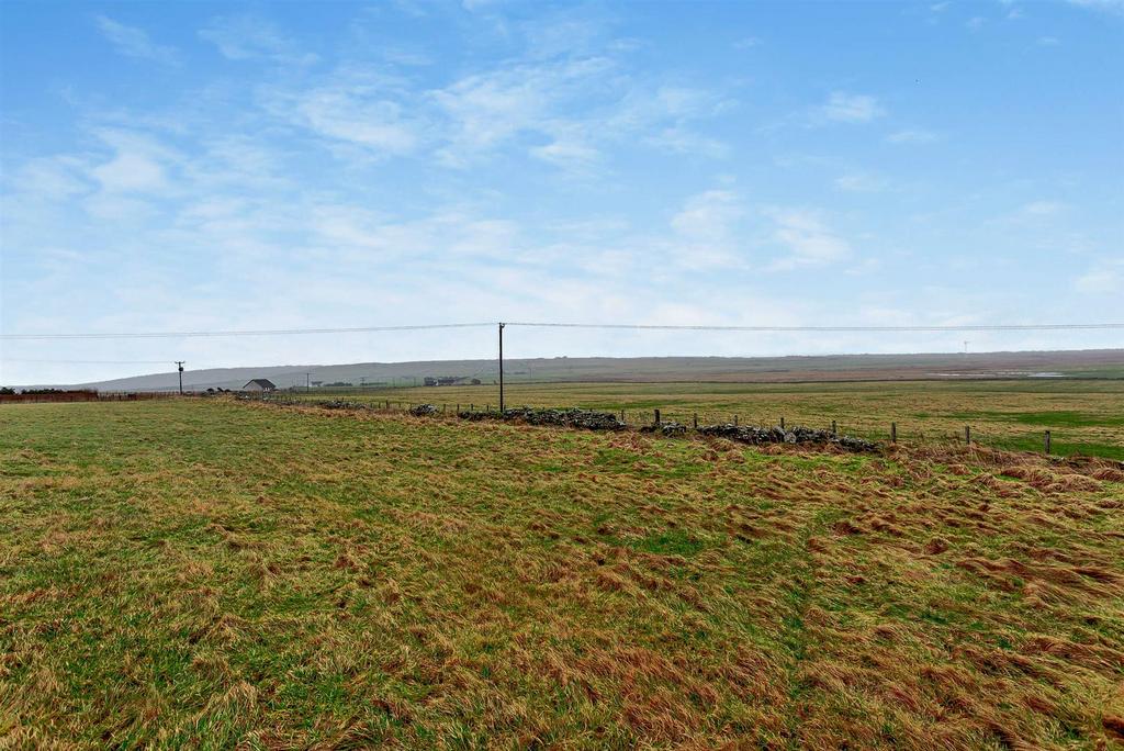 View from house