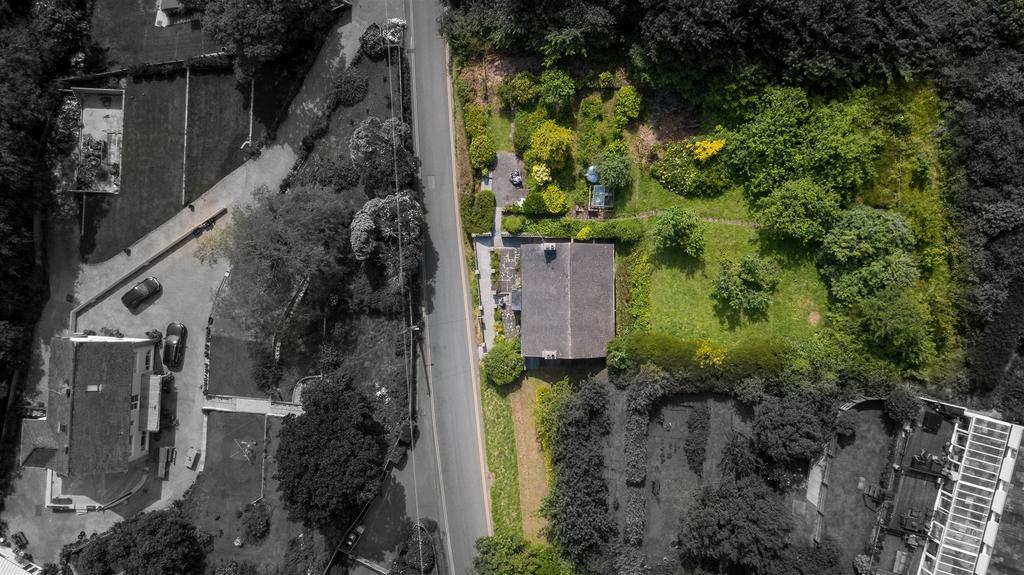 DJI 0001.jpg
