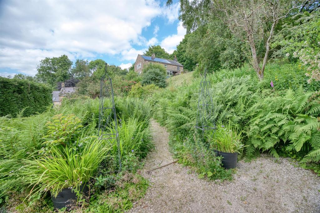 Fern garden walkway towards house.jpg