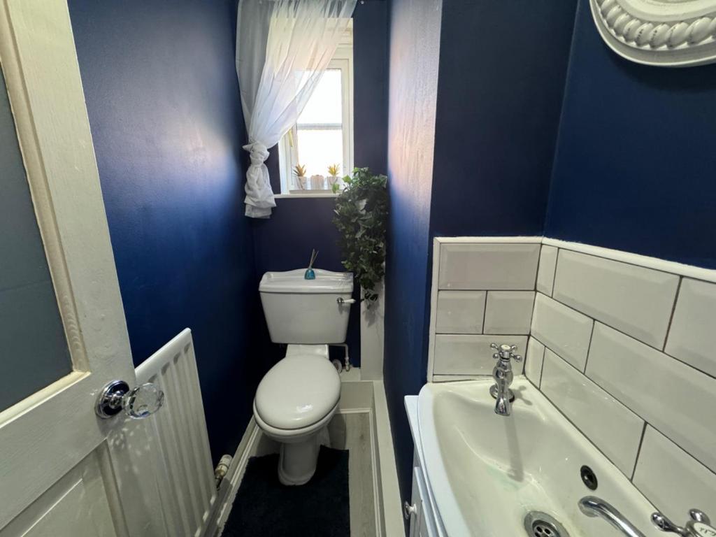 Downstairs toilet
