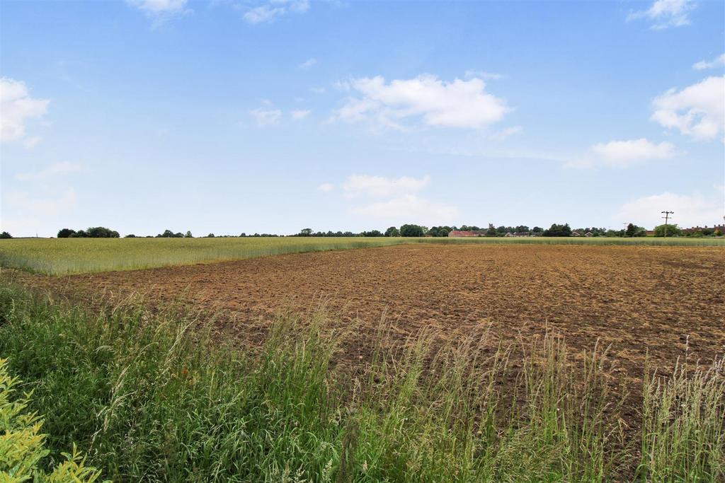 Field views