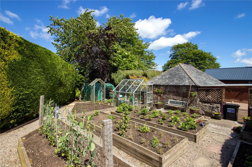 Raised Beds