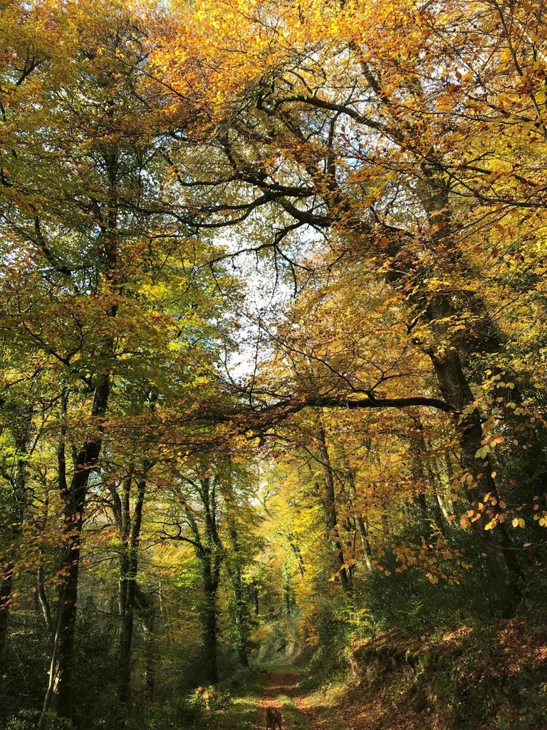 Autumn