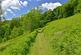 Additional image 14 of Cadeleigh, Tiverton, Devon, EX16