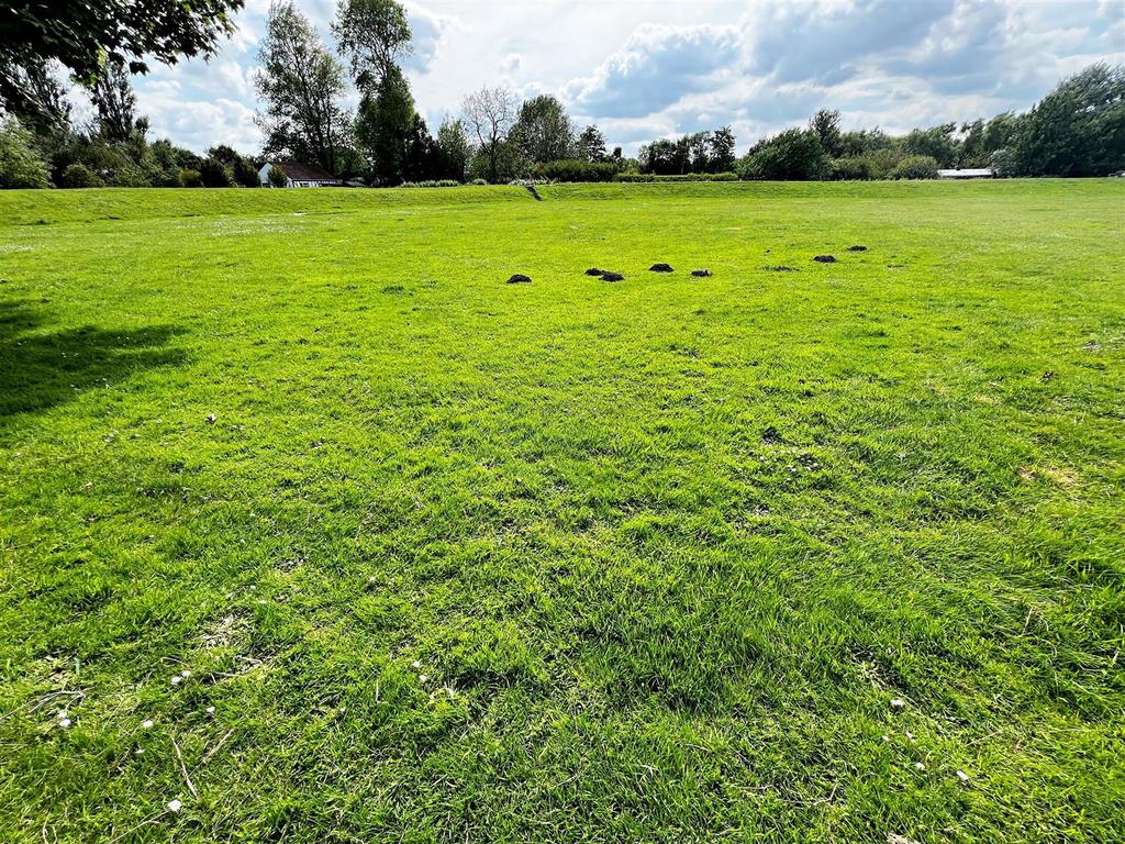 Green area