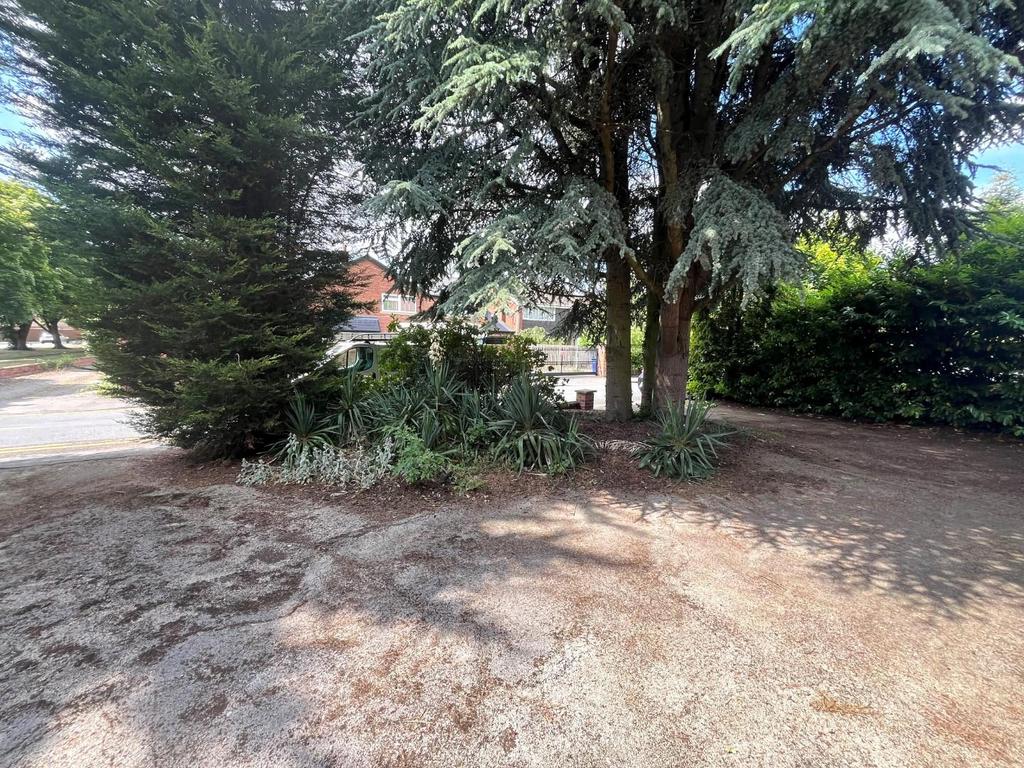 Front drive.jpg