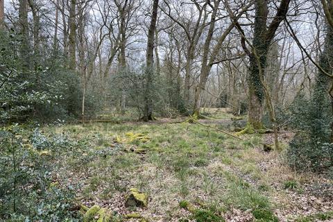 Land for sale, East Woodhay Copse, Woolton Hill, Newbury