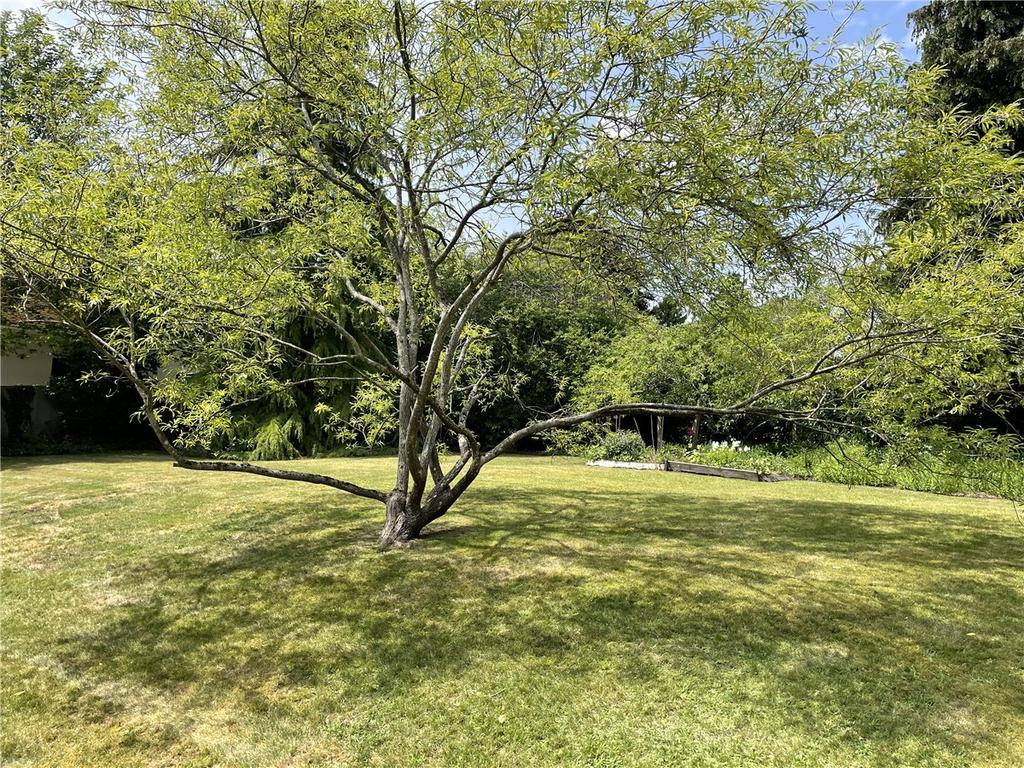 Communal Garden