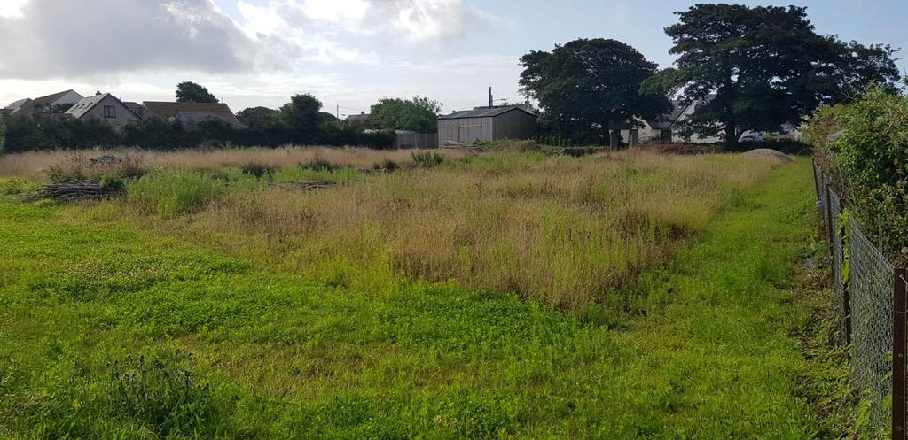 View Of The Plot