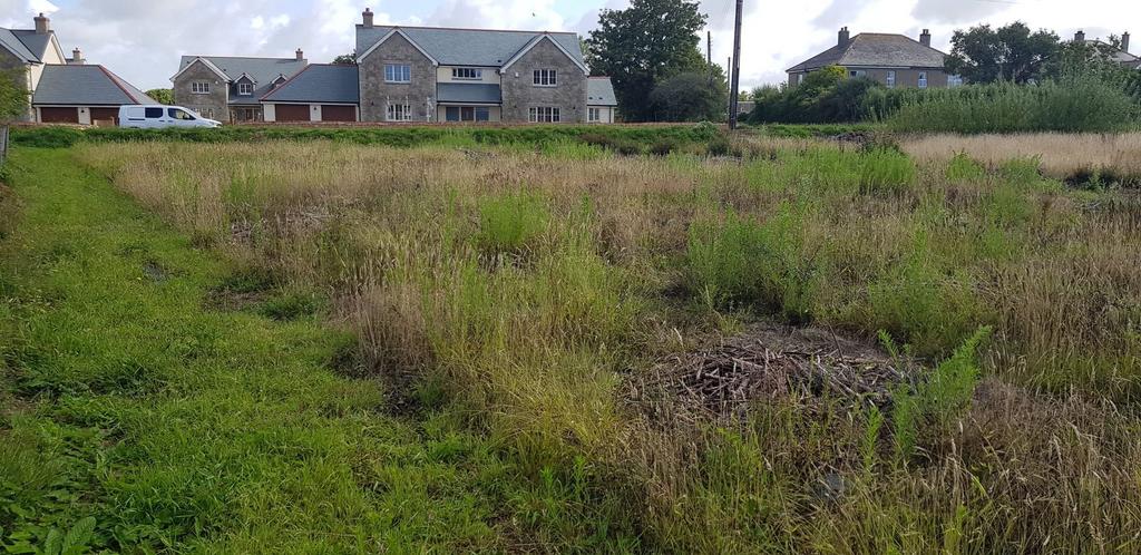 View Of The Plot