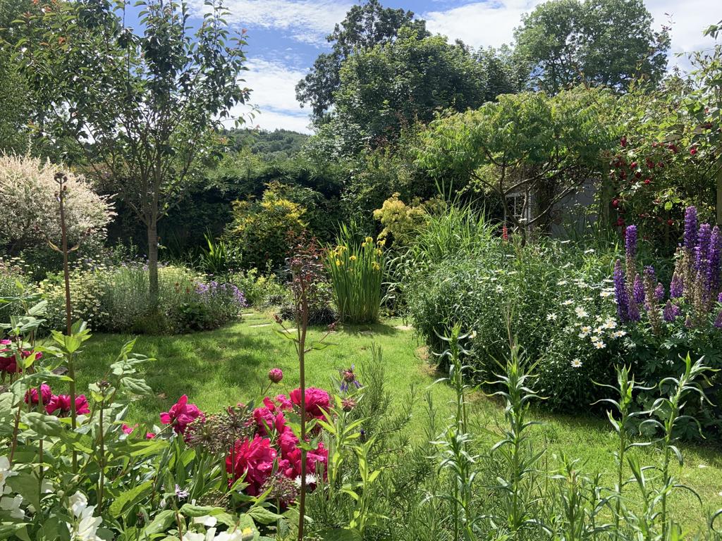 3 bedroom detached bungalow