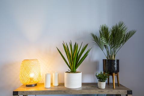 undefined, The Tanfield at Together Homes, Milepost Lane DL7