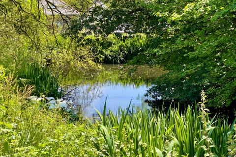 undefined, Treburgett, Nr St Teath, PL30