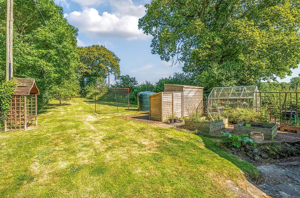 Vegetable Garden