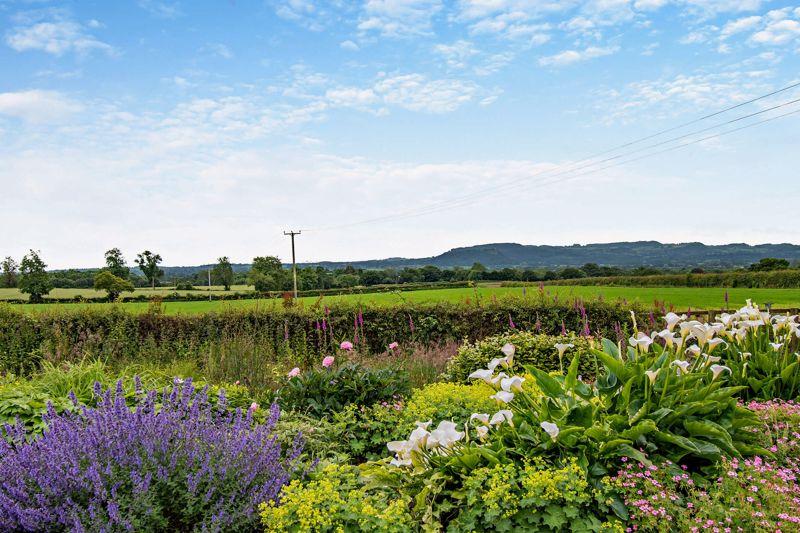 Garden and View