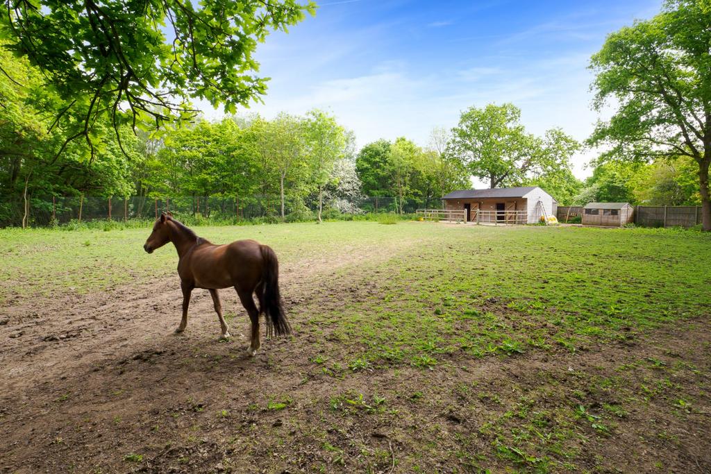 Stables/Paddock