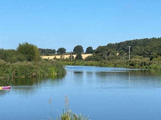 IMG 4726.jpg