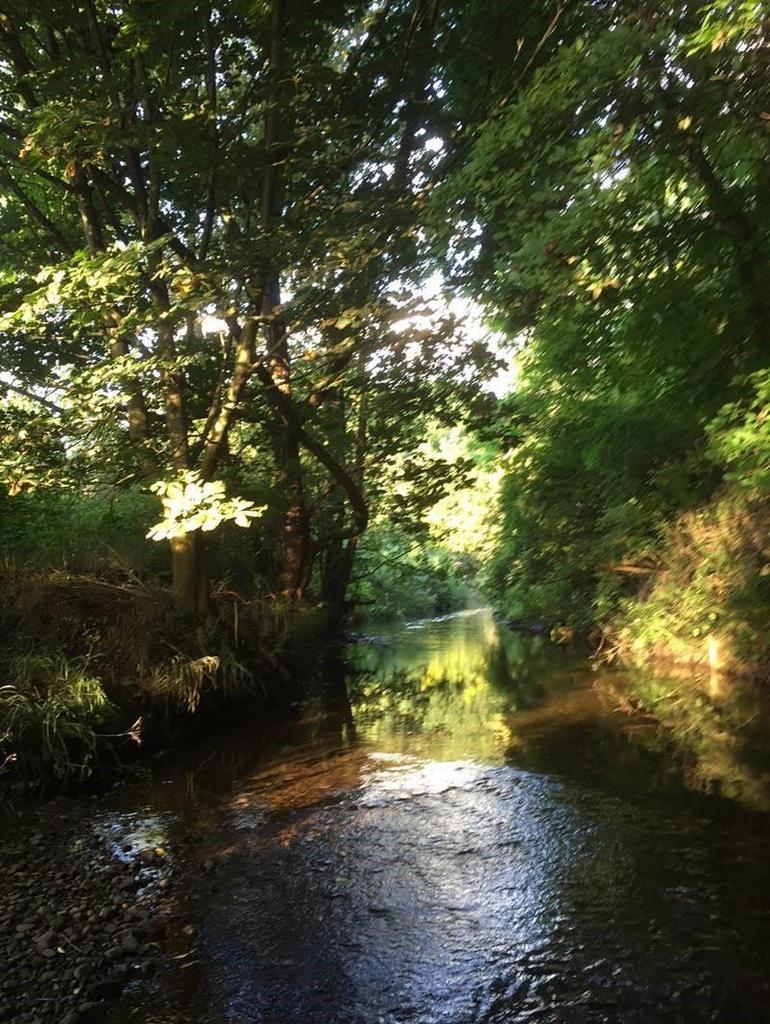 River Salwarpe Ridegeway Court.jpg