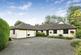 20 33866.jpg