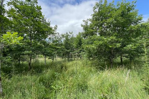 Land for sale, High Bickington, Umberleigh