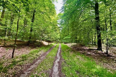 Land for sale, Holly Blue Wood at Long Copse & Rag Copse, Bourne Park Estate, Hurstbourne Tarrant, Hampshire, SP11 6JQ