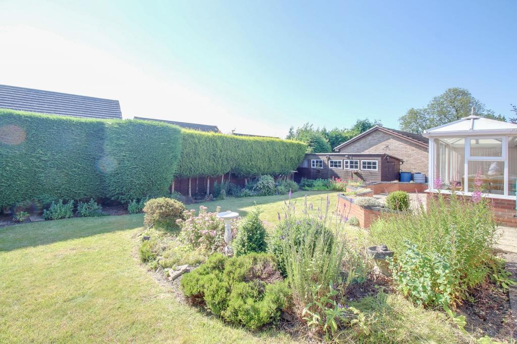 Garden 1