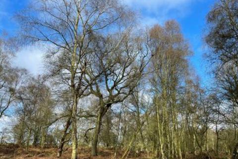 Land for sale, Land - Rickstock Wood, Newport, Shropshire