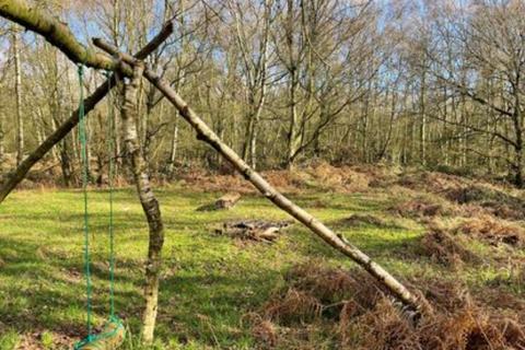 Land for sale, Land - Rickstock Wood, Newport, Shropshire, TF10 8AQ