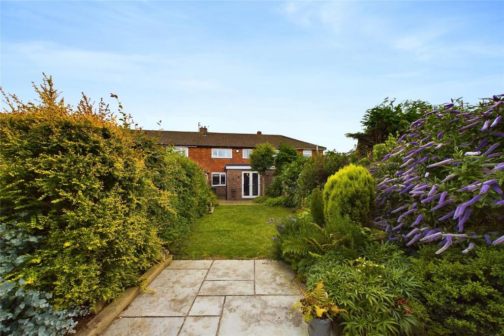Picture No. 55