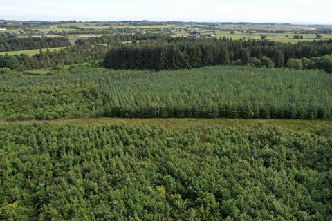 Woodland for sale, Caldwell Wood, East Renfrewshire G78