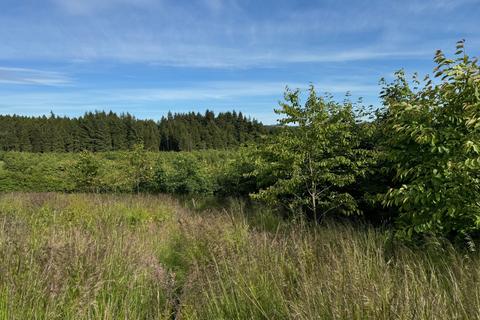 Woodland for sale, Caldwell Wood, East Renfrewshire G78