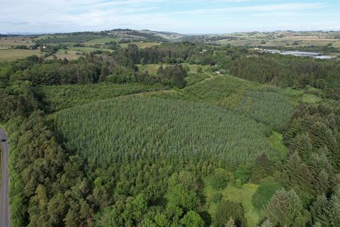 Woodland for sale, Caldwell Wood, East Renfrewshire G78