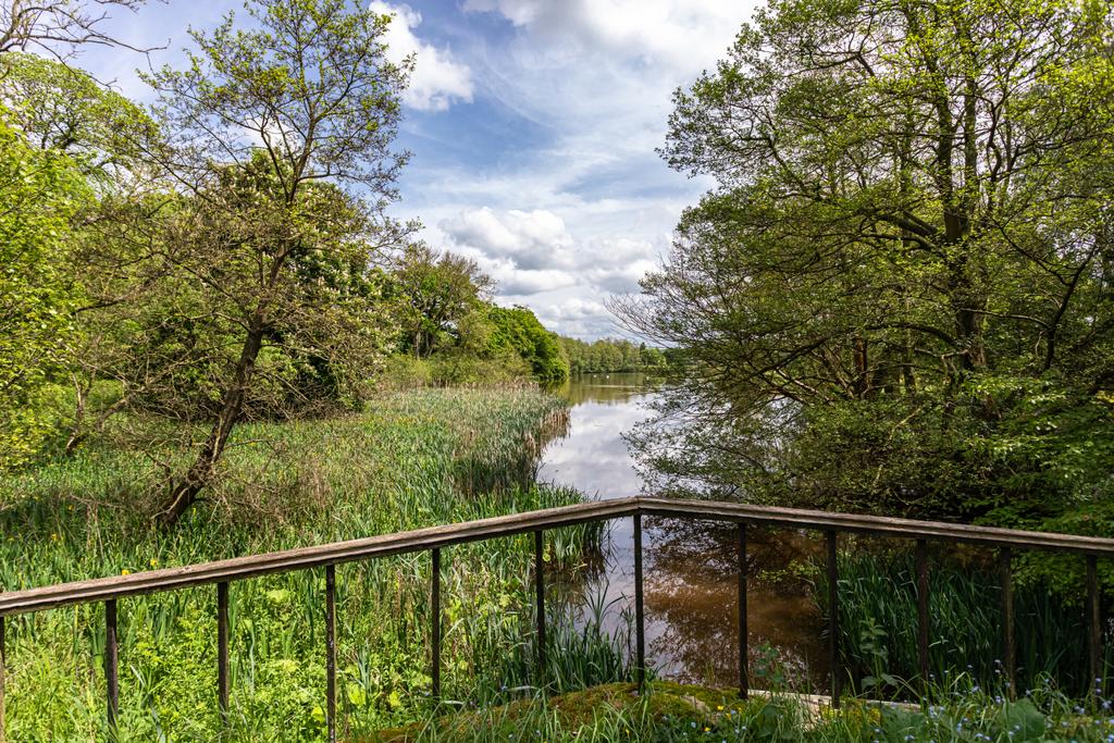 River Dove