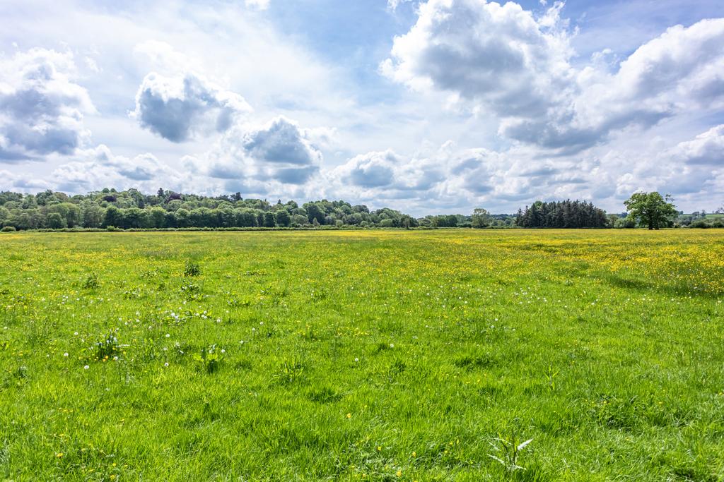 Land