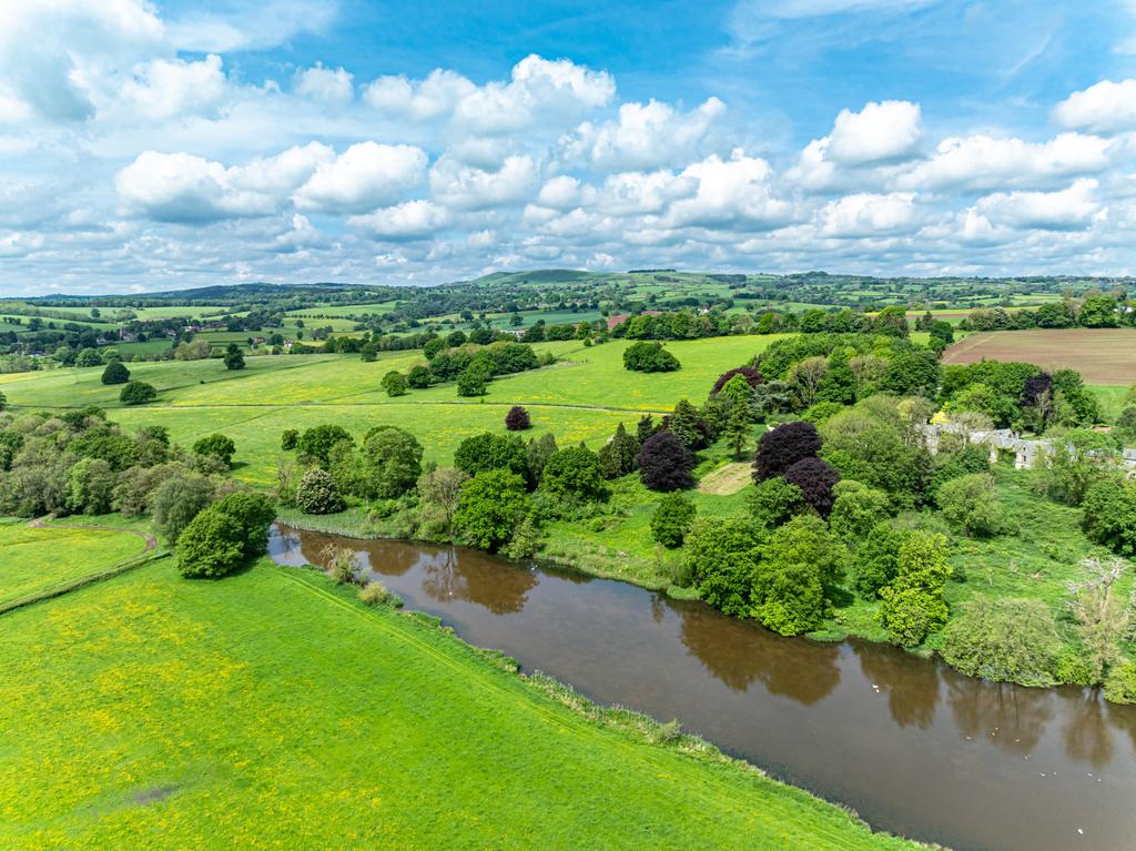River Dove