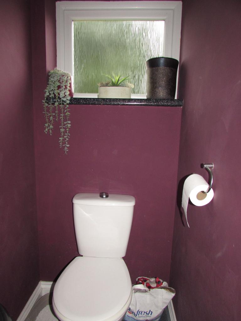 Photograph 17