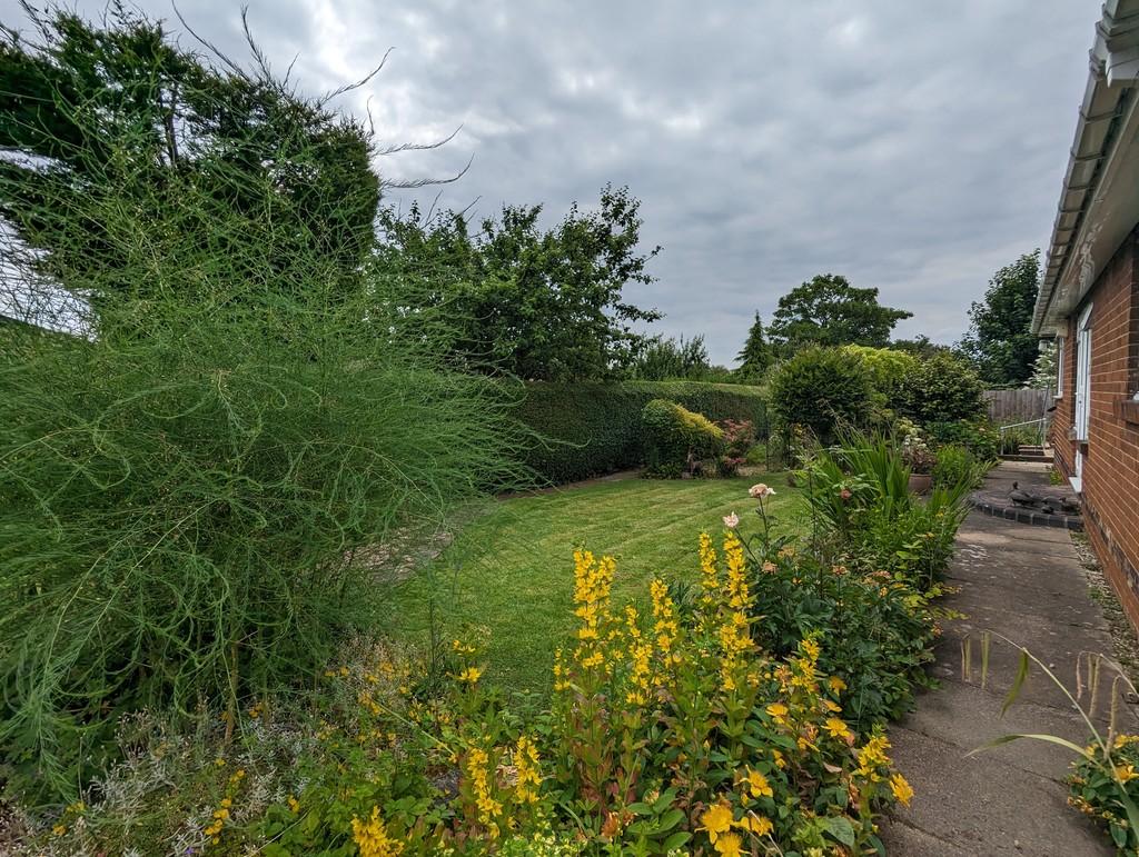 Garden 8