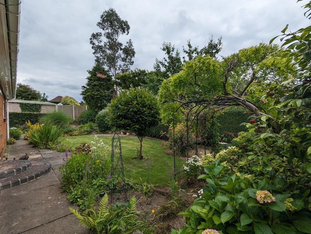 Garden 10