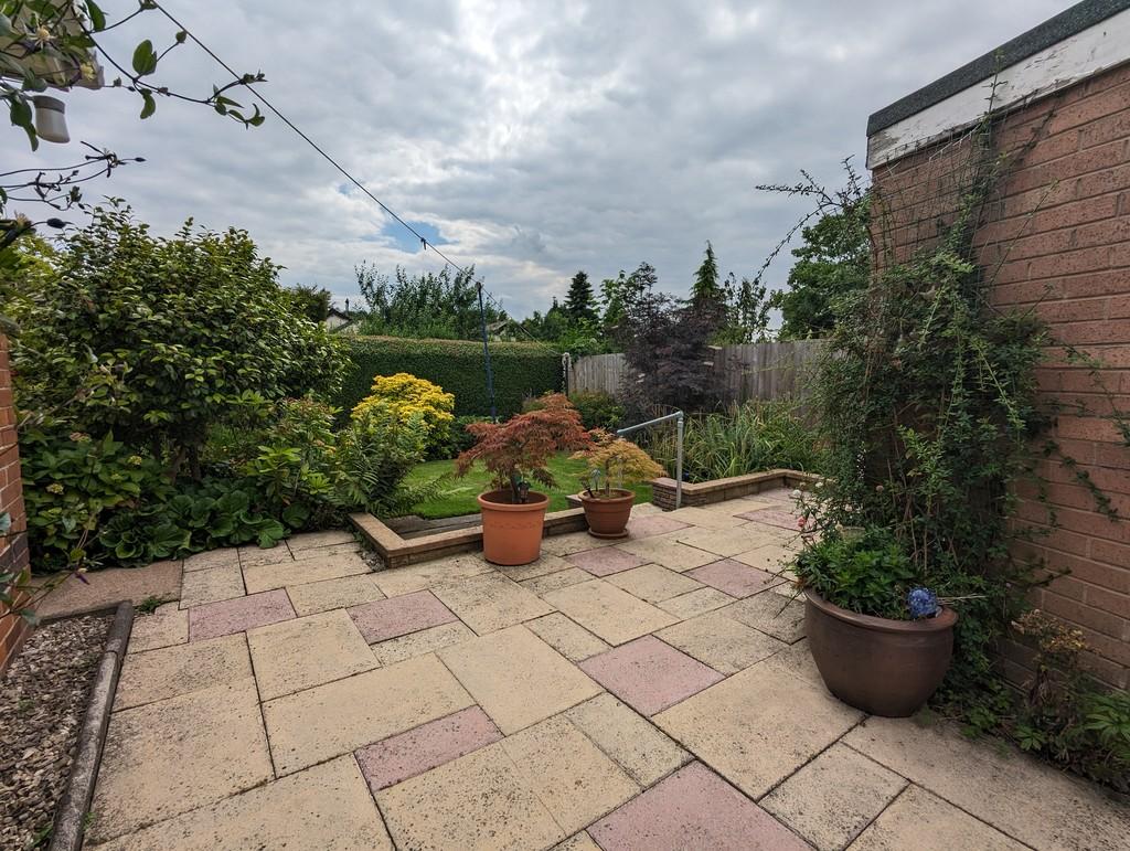 Garden 12