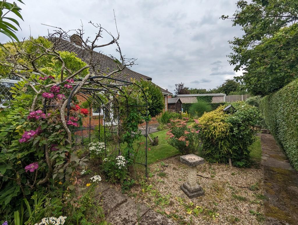 Garden 2