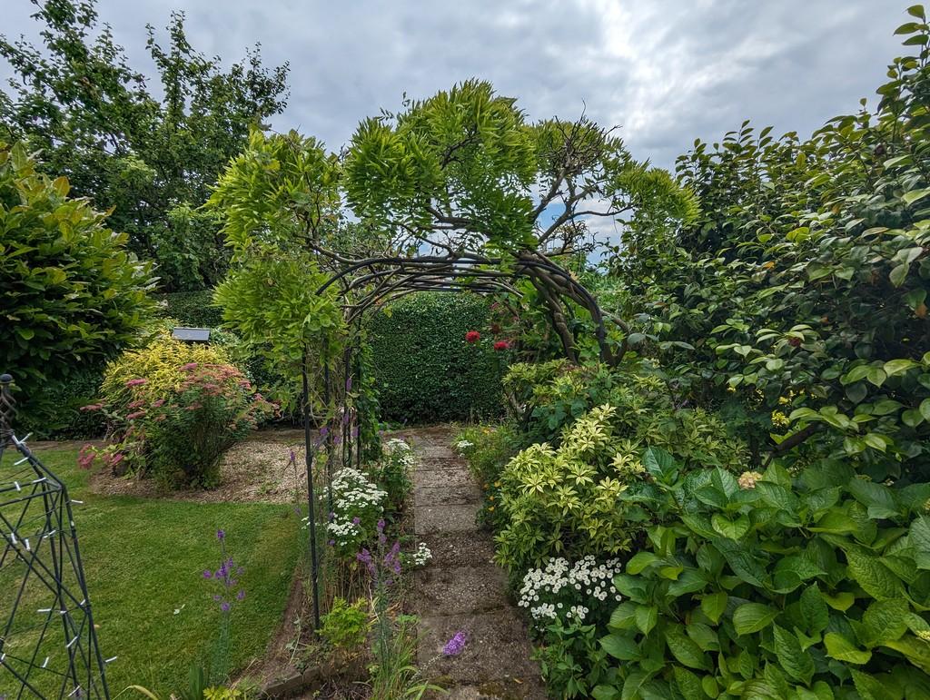 Garden 9