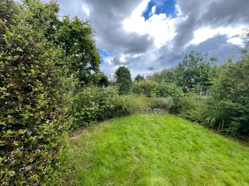 12 plant garden 2 t202406251134