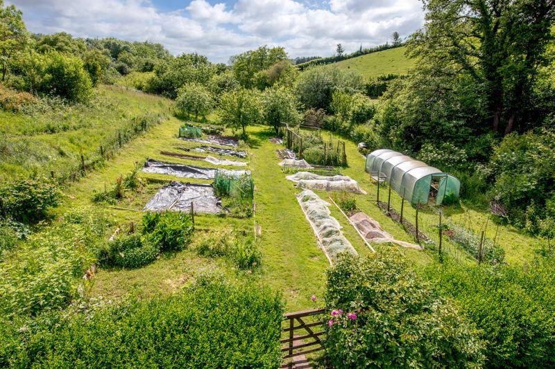Kitchen Garden