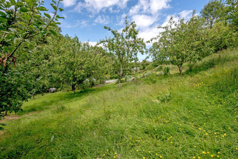 Orchard