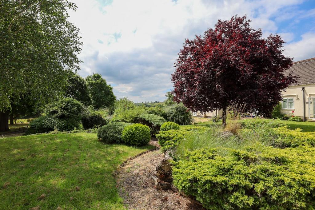 Shared rear gardens (2).jpg