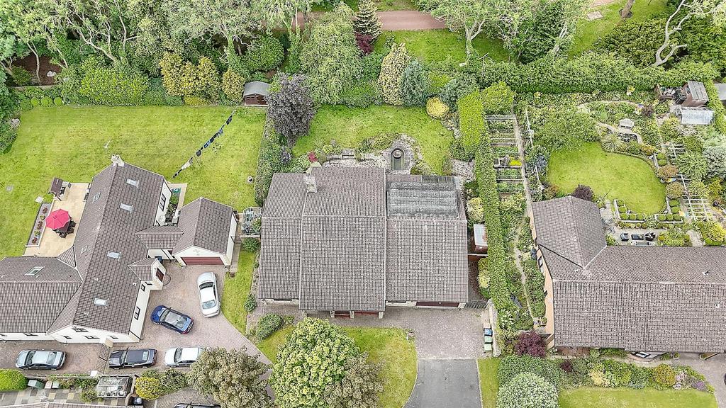 Forrest Drive Aerial View.jpg