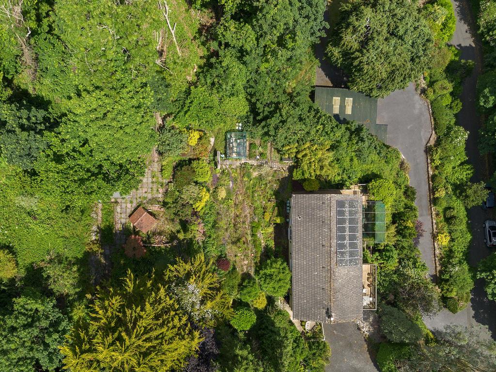 Drone Plot close up Brambles, Weeke Hill,...