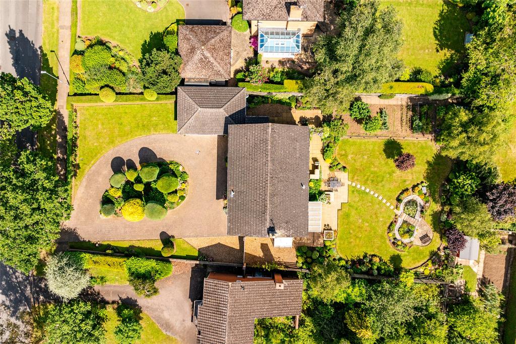 Ariel View